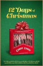 Watch 12 Days of Christmas Moviesjoy