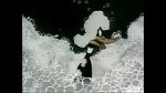 Watch Ain\'t that Ducky (Short 1945) Moviesjoy