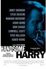 Watch Handsome Harry Zoechip