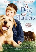 Watch A Dog of Flanders Moviesjoy