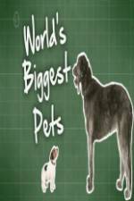 Watch World's Biggest Pets Fmovies