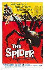 Watch The Spider Soap2day