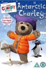 Watch Little Charley Bear - Antarctic Charley Gomovies