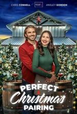 Watch A Perfect Christmas Pairing Movies123