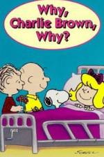 Watch Why Charlie Brown Why 2kmovies