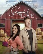 Watch Grounded in Love Zoechip
