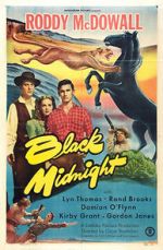 Watch Black Midnight Moviesjoy