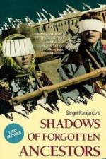 Watch Shadows of Forgotten Ancestors Zoechip