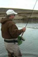 Watch Patagonian Silver Gomovies