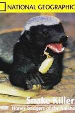 Watch National Geographic: Snake Killers Honey Badgers Of The Kalahari 2kmovies