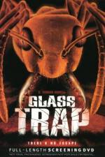 Watch Glass Trap Goojara