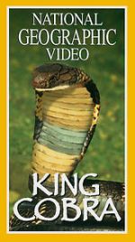 Watch King Cobra Moviesjoy