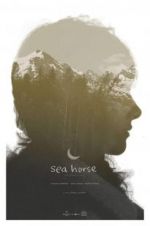 Watch Sea Horse Soap2day