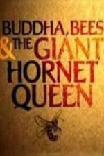 Watch Natural World Buddha Bees and the Giant Hornet Queen Movie4k