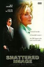 Watch Shattered Image Moviesjoy