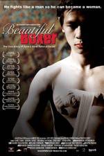 Watch Beautiful Boxer Zoechip