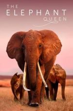 Watch The Elephant Queen M4uhd