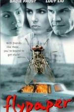 Watch Flypaper 2kmovies