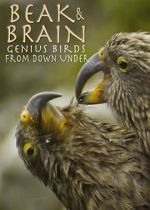 Watch Beak & Brain - Genius Birds from Down Under 2kmovies