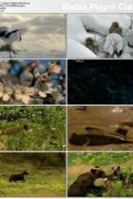 Watch National Geographic: Japans Hidden Secrets Zoechip