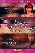 Watch Days of Being Wild Fmovies