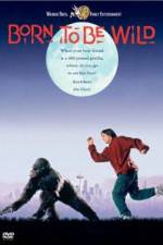 Watch Born to Be Wild 2kmovies