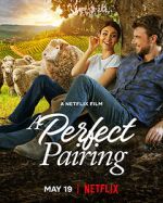 Watch A Perfect Pairing M4ufree