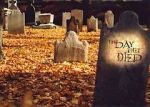 Watch The Day They Died Fmovies