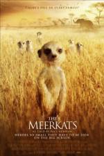 Watch The Meerkats M4uhd