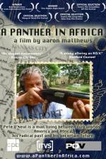 Watch A Panther in Africa 2kmovies