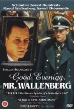 Watch Good Evening, Mr. Wallenberg Soap2day