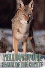 Watch Yellowstone: Realm of the Coyote Gomovies