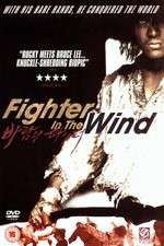 Watch Baramui Fighter Soap2day