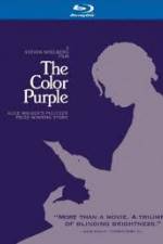 Watch The Color Purple Reunion 2kmovies