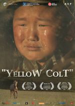 Watch Yellow Colt Zoechip