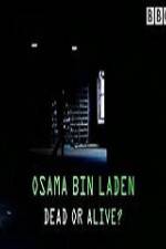 Watch The Final Report Osama bin Laden Dead or Alive Goojara