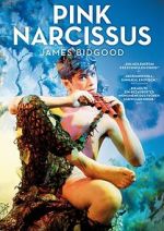Watch Pink Narcissus 123movies