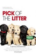 Watch Pick of the Litter M4ufree