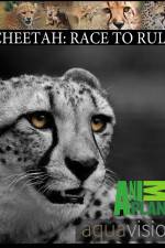 Watch Cheetah: Race to Rule 2kmovies