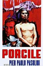 Watch Porcile Goojara