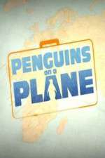 Watch Penguins on a Plane Gomovies