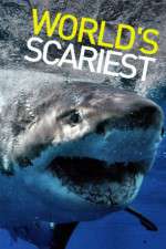Watch World's Scariest... Fmovies