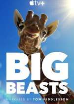 Watch Big Beasts Gomovies