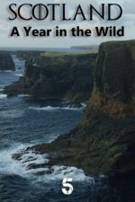 Watch Scotland: A Wild Year Fmovies