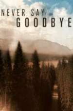 Watch Never Say Goodbye 2kmovies