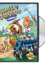 Watch Shaggy & Scooby-Doo Get a Clue 2kmovies