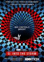 Watch Q: Into the Storm Fmovies