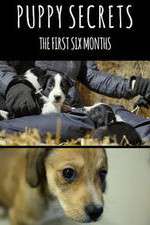 Watch Puppy Secrets: The First Six Months 2kmovies