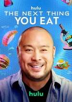 Watch The Next Thing You Eat 2kmovies
