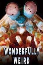 Watch Wonderfully Weird Fmovies